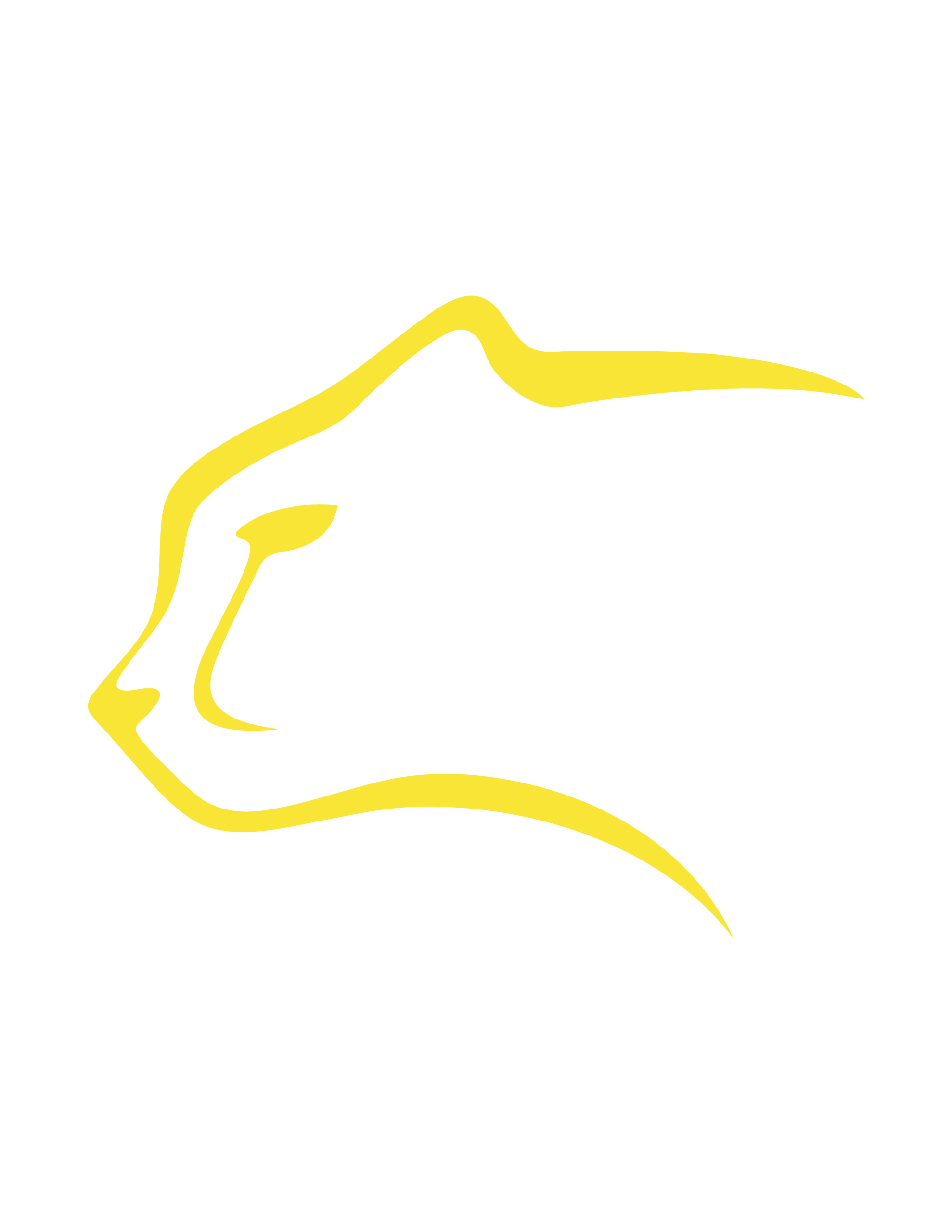 Logo Cheetah Racing FSAE 