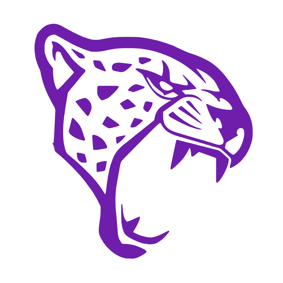 Logo Cheetah H2 Racing